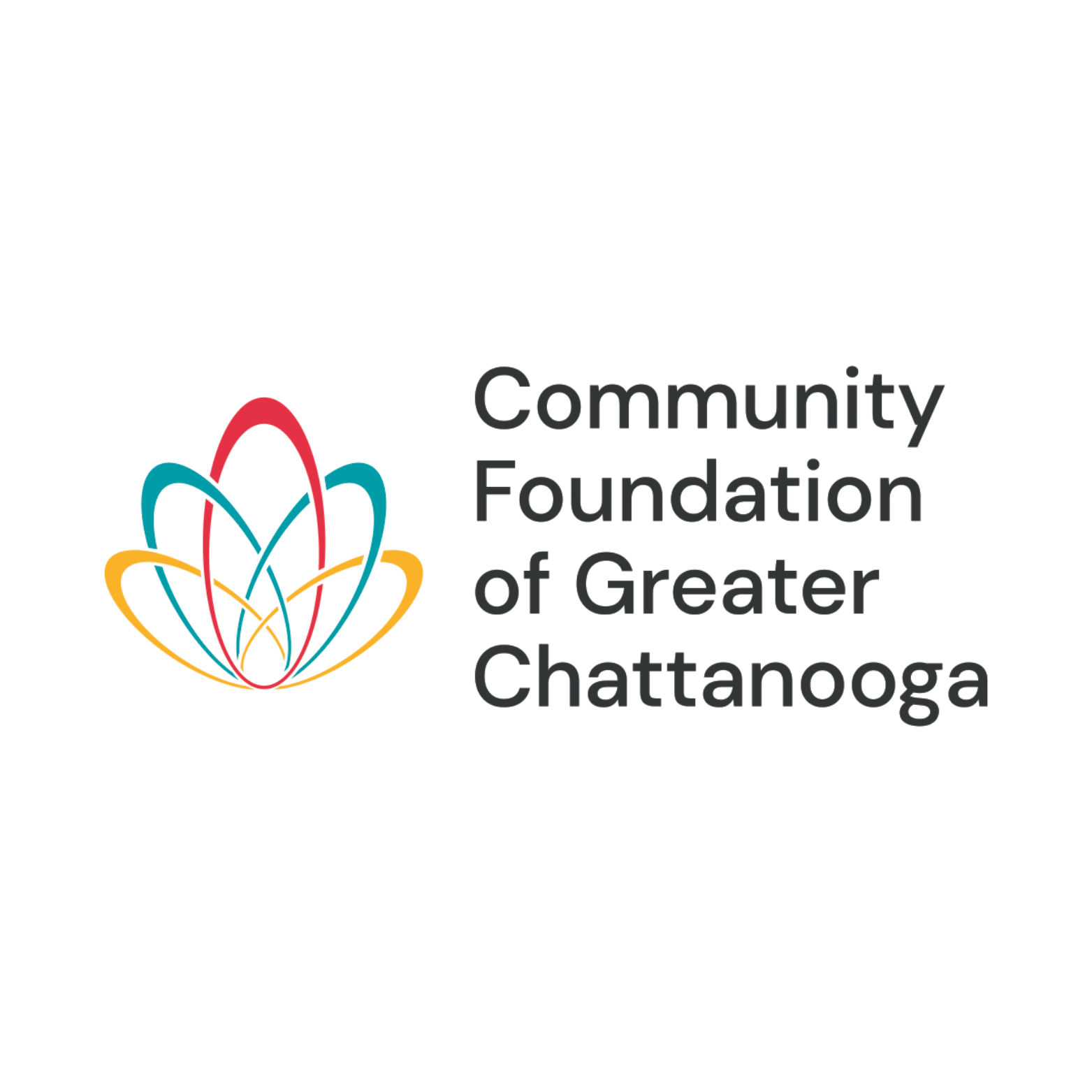 Community Foundation (Accelerator Loan Fund)