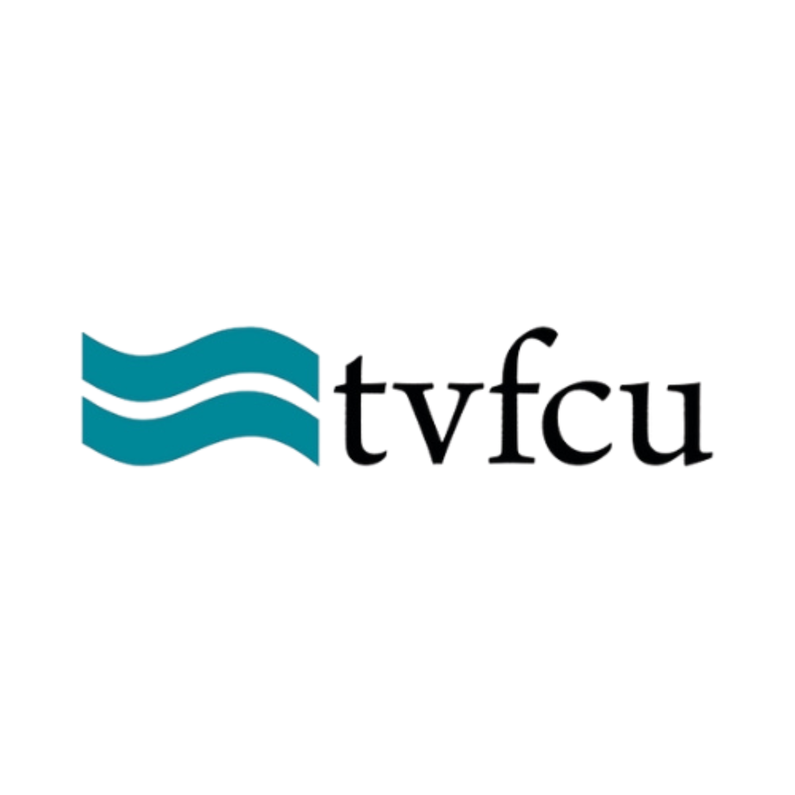 TVFCU Idea Leap